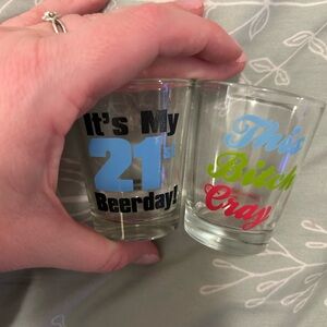 Funny 21st Birthday Shot Glass Set